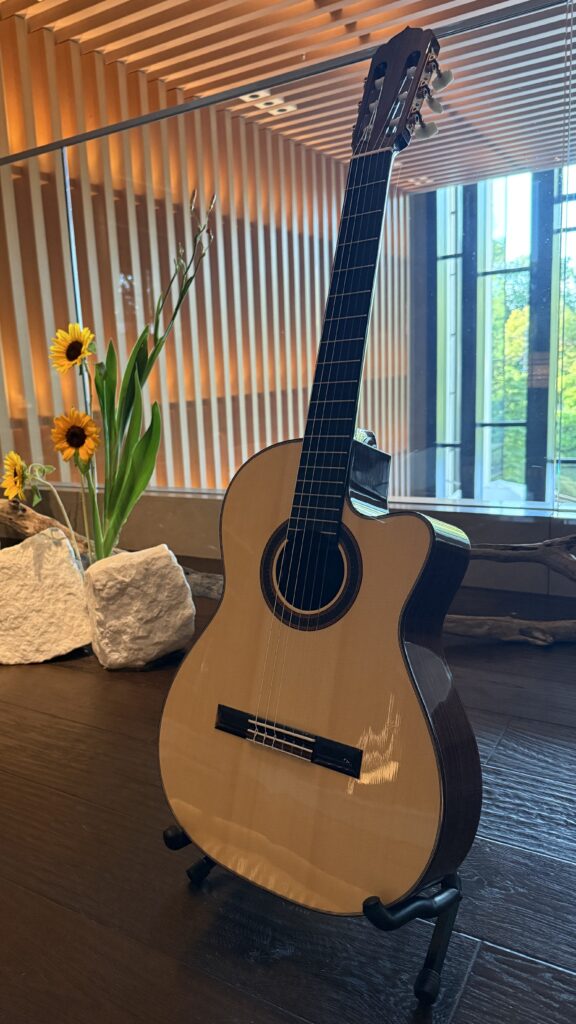 ASTURIAS Solo Classico S 25th Limited Edition